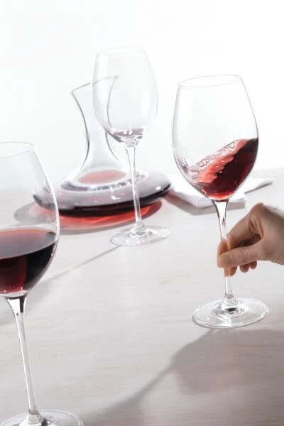 Leonardo Dekanter CHEERS 750 Ml – Bild 3