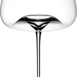 Zieher Weingläser Balanced Vision, 2er-Set