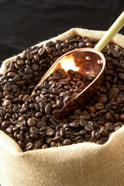 PEUGEOT Kaffeemühle Antique, 21 Cm – Bild 5