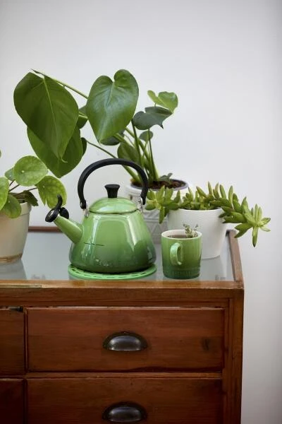 Le Creuset Wasserkessel Kone In Bamboo Green – Bild 2